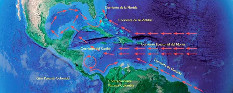 Relieve submarino del Caribe